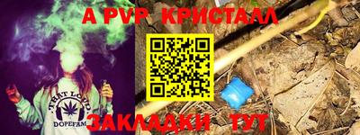PSILOCYBIN Кунгур
