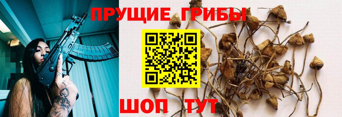 цена   Вход с VPN  Севастополь  Псилоцибиновые грибы MAGIC MUSHROOMS 