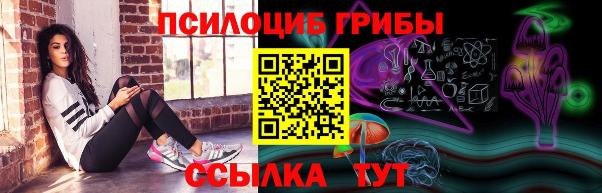 Псилоцибиновые грибы прущие грибы Севастополь